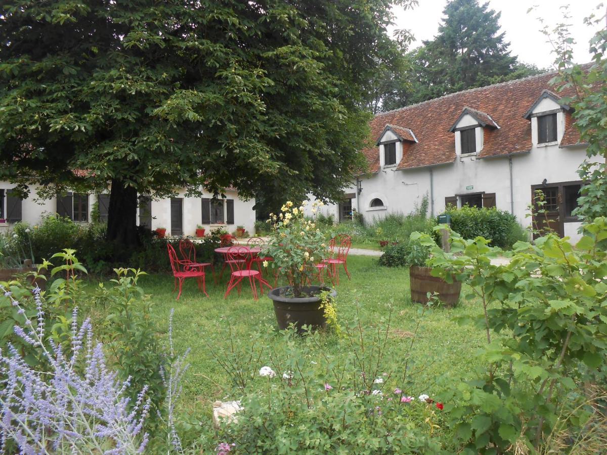 B&B La Ferme Des Bordes Pontlevoy Eksteriør bilde