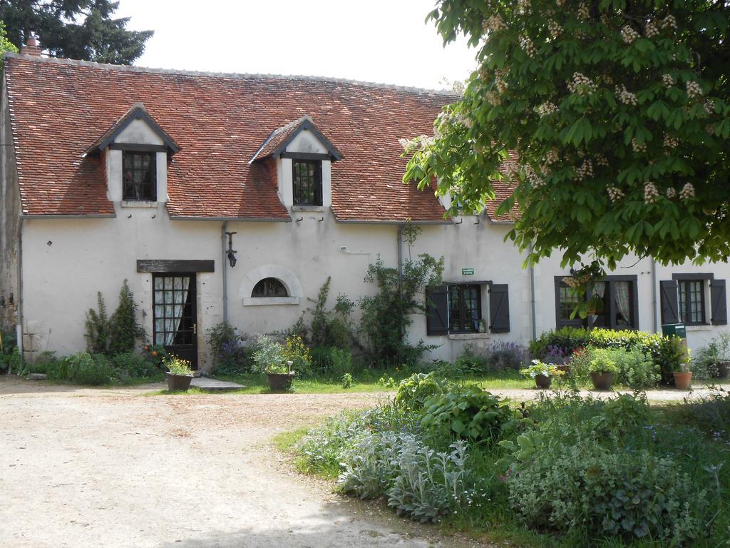 B&B La Ferme Des Bordes Pontlevoy Eksteriør bilde